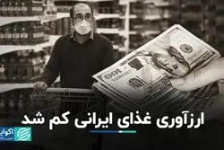 ارزآوری غذای ایرانی کم شد