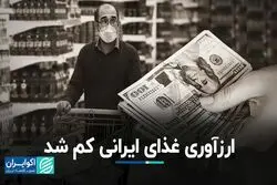 ارزآوری غذای ایرانی کم شد