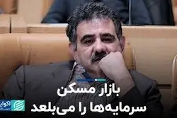 چاه ویل سرمایه در اقتصاد ایران