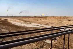 10 کالای ارزآور سال 1403؛ گاز طبیعی اول شد + نمودار