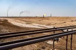 10 کالای ارزآور سال 1403؛ گاز طبیعی اول شد + نمودار