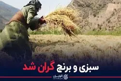 سبزی و برنج گران شد