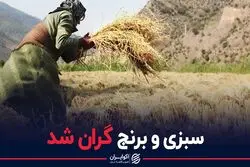 سبزی و برنج گران شد
