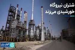 شتران نیروگاه خورشیدی می‌زند