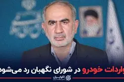 واردات خودرو در شورای نگهبان رد می شود