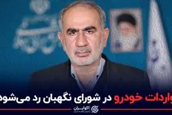 واردات خودرو در شورای نگهبان رد می شود