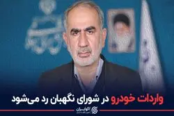 واردات خودرو در شورای نگهبان رد می شود