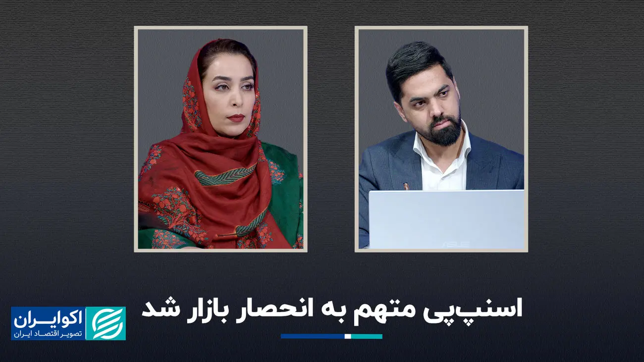 اسنپ‌پی متهم به انحصار بازار شد