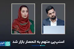 اسنپ‌پی متهم به انحصار بازار شد