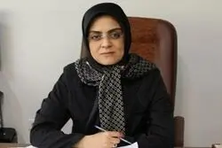 هشدار مشاور وزیر راه: زلزله در تهران فاجعه‌ ملی به بار می‌آورد / خطر در کمین کدام شهرهاست؟