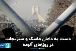 دست به دامان ماسک و سبزیجات در روزهای آلوده