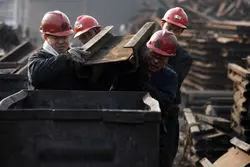 زغال‌سنگ در کف قیمت یک ساله