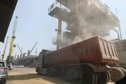 خروج ارز نفتی از بازار کالای اساسی 