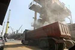 دو تصمیم مهم برای بازار کالاهای اساسی؛ آزادسازی واردات و بازگشت ارز ترجیحی