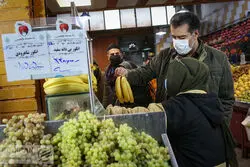 صدر نشینی انبه  در بازار میوه / گیلاس 64 هزار تومان 