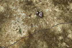 این دریاچه مازندران در آستانه خشک شدن کامل است + عکس