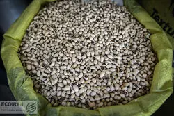 قیمت جدید لوبیا چیتی در بازار مشخص شد/ گران نخرید