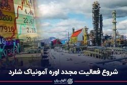 شروع فعالیت مجدد اوره آمونیاک شلرد