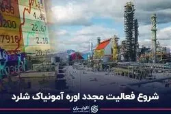 شروع فعالیت مجدد اوره آمونیاک شلرد