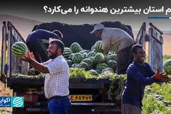 کدام استان بیشترین هندوانه را می‌کارد؟