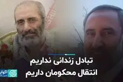 تبادل زندانی نداریم، انتقال محکومان داریم