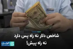 شاخص دلار نه راه پس دارد نه راه پیش!