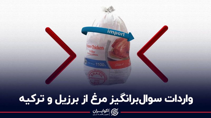 واردات سوال‌برانگیز مرغ از برزیل و ترکیه