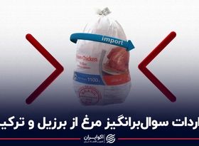 واردات سوال‌برانگیز مرغ از برزیل و ترکیه