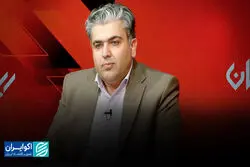 دو بال گزارشگری مالی