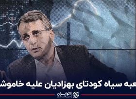 جعبه سیاه کودتای بهزادیان علیه خاموشی