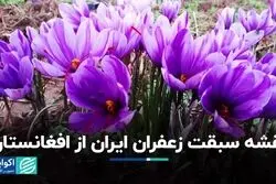 راه پیشی گرفتن زعفران ایران از افغانستان و اسپانیا