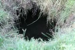 مرگ کودک 4 ساله گردن پروژه کرباسچی افتاد

