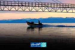 میدان شعاع: آب روی آتش خشکسالی؛ فقر آبی پایتخت تمام شد؟