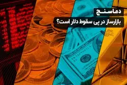 بازارساز در پی سقوط دلار است؟