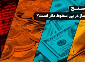 بازارساز در پی سقوط دلار است؟