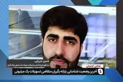 25 میلیون خانوار یارانه بگیر؛ 32میلیون پیامک درخواست وام یک میلیونی