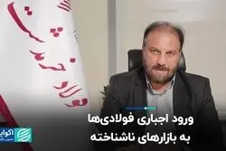  ورود اجباری فولادی‌ها به بازارهای ناشناخته  