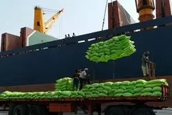 آغاز تخلیه محموله ۳۰ هزار تنی برنج در کشور