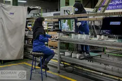 مشارکت زنان در تولید ملی