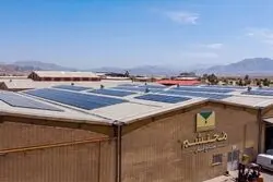 چگونه «فرش محتشم» تهدید تابستان را به مزیت بنیادی تبدیل کرد؟  