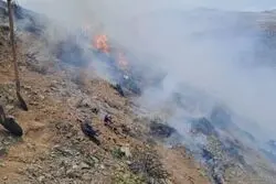 انفجار ناشی از برخورد ریزپرنده در شیراز / اراضی کشاورزی دچار حریق شد