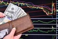 چارت دلار به نقطه سفید رسید؛ بازار داغ تبدیل سکه