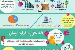 نیشکر، سهم جذاب و کم ریسک در بازار سرمایه برای سرمایه گذاری