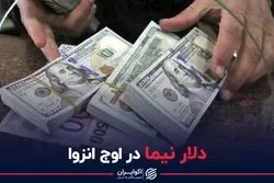 دلار نیما در اوج انزوا
