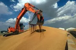 روسیه به دنبال ایجاد بورس غلات در بریکس