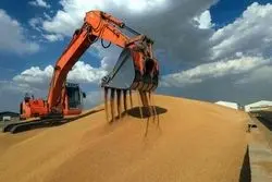 روسیه به دنبال ایجاد بورس غلات در بریکس