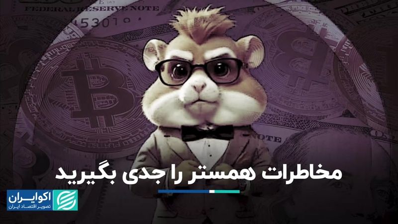 مخاطرات همستر را جدی بگیرید