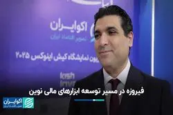 فیروزه در مسیر توسعه ابزارهای مالی نوین