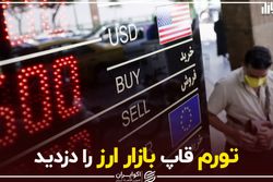 تورم قاپ بازار ارز را دزدید