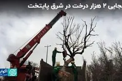 از شعرخوانی نرجس سلیمانی برای زاکانی تا جابه جایی ۲ هزار درخت درشرق پایتخت